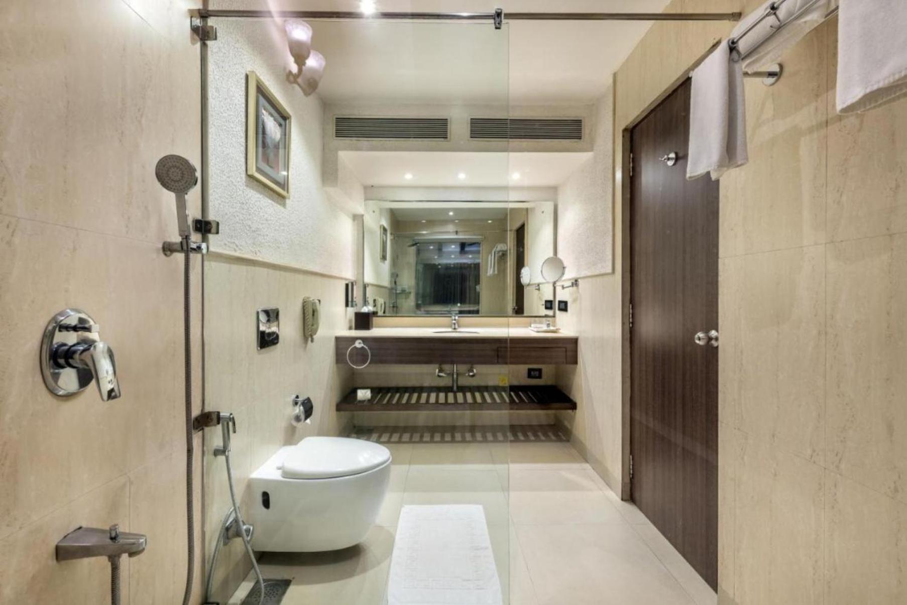 Hotel Tej Plaza Near Igi Airport Delhi