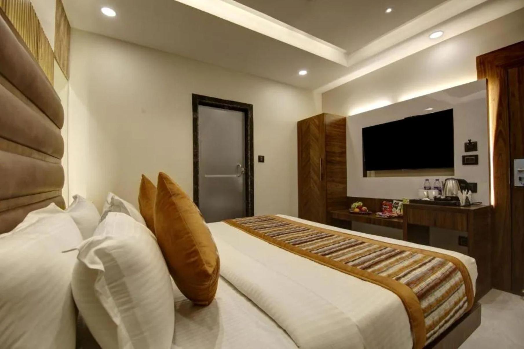 Tej Plaza Near Igi Airport Delhi Hotel